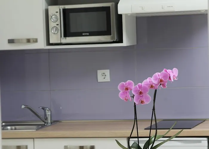 Emanuel Διαμέρισμα Ρόβινι